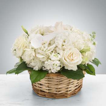 Lace by BloomNation™