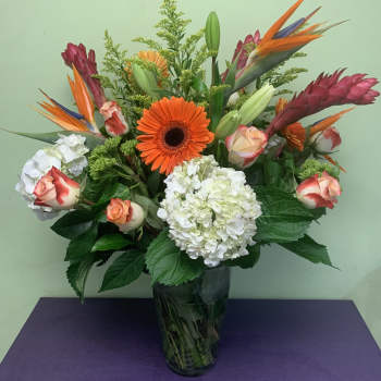 Tropical bouquet with orange gerbera daisies, roses, and white hydrangeas in a glass vase