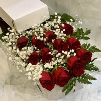 Box of red roses with white baby's breath