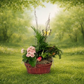 Smaller European Gardens