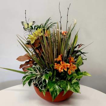Kiko's Dish Garden