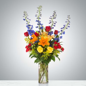 Ravishing Rainbow by BloomNation™