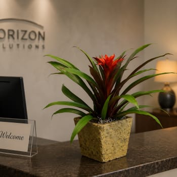 K409 Bromeliad Planter