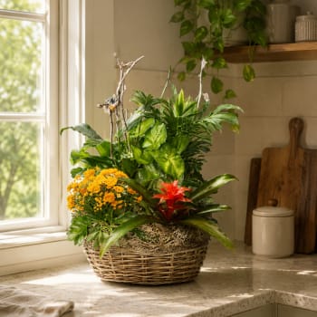 European Garden Basket
