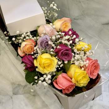 Boxed bouquet of multicolored roses with baby's breath