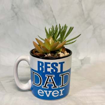 Best Dad Mug Planter