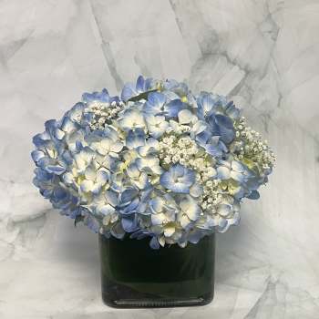 Blue and white hydrangea bouquet in a dark glass vase