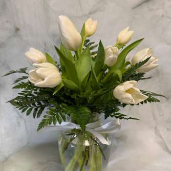 White tulips arranged in a glass vase with a white ribbon.