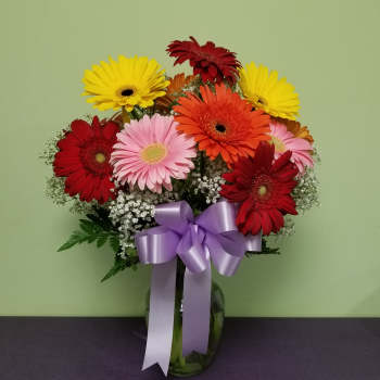 Bouquet of colorful gerbera daisies in a glass vase with a purple ribbon