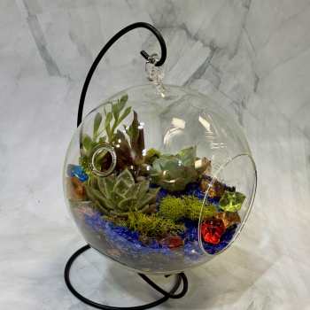 Glass globe terrarium on a black stand with green succulents, blue stones, moss, and colorful glass gems