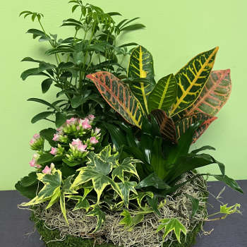 Mixed potted plants with pink flowers in a woven basket