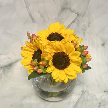 Yellow sunflowers in a round glass vase with pink berry accents