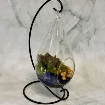 Hanging glass terrarium with succulents and stones on a black metal stand
