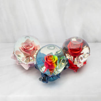 Three roses preserved in clear glass domes with ribbon bases