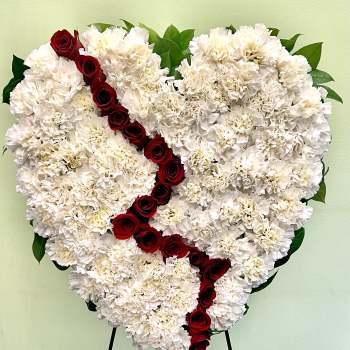 Heart-shaped white carnation arrangement with a diagonal line of red roses