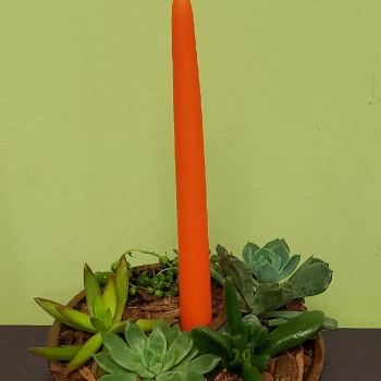 Succulent arrangement with a tall orange candle in a round dish