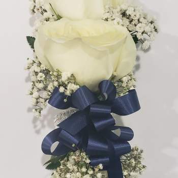 Three white roses with baby's breath and a navy ribbon