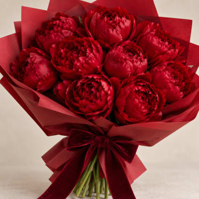 Bouquet of deep red peonies wrapped in red paper with a velvet bow