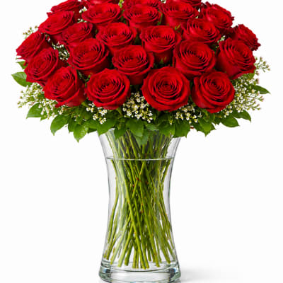 2 Dozen Red Roses