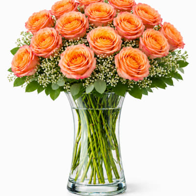 2 Dozen Free Spirit Roses