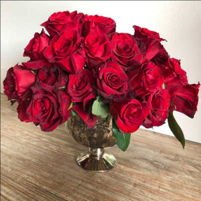 Kiss From A Rose