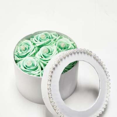 Mint green roses in a round white box with a beaded lid