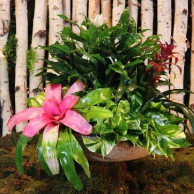 Garden Mix