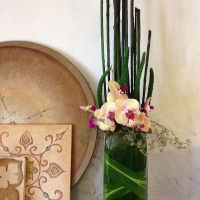 Tall orchid arrangement in a glass vase with dark decorative reeds