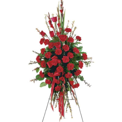 Red Regards Spray - TF206-2