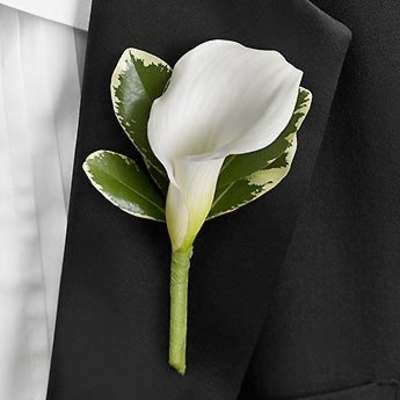 White calla lily boutonniere with variegated green leaves on a black suit lapel