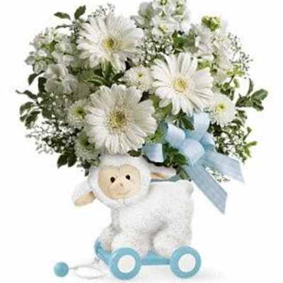 Sweet little Lamb - Baby blue