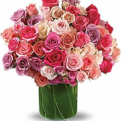 Rose Rapture
