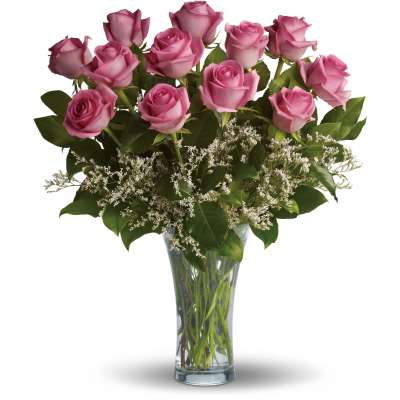 Make Me Blush - Dozen Long Stemmed Pink Roses