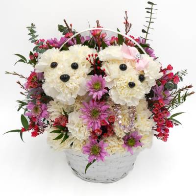 Basket arrangement of white carnations shaped like teddy bears with pink flowers
