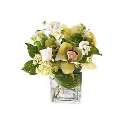 Compact arrangement of green orchids and white roses in a clear glass cube vase.
