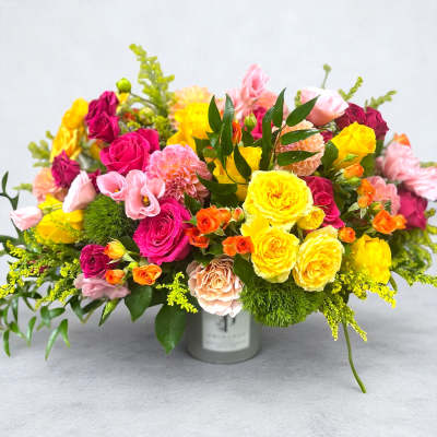 Creation Thirty Seven