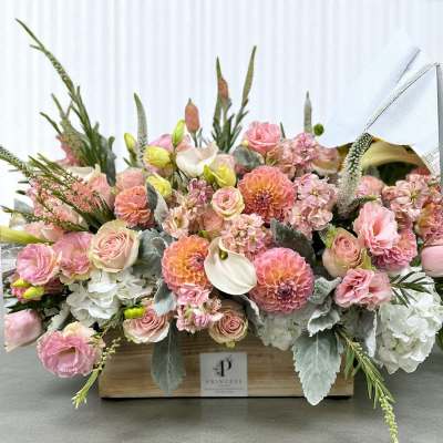 Creation Thirty Eight