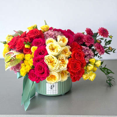 Creation Forty Seven