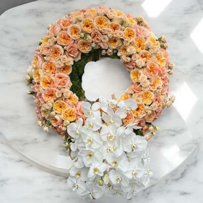 Sympathy Sixty-Three