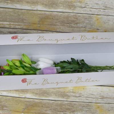 Boxed bouquet of lilies in bud form with tissue wrapping