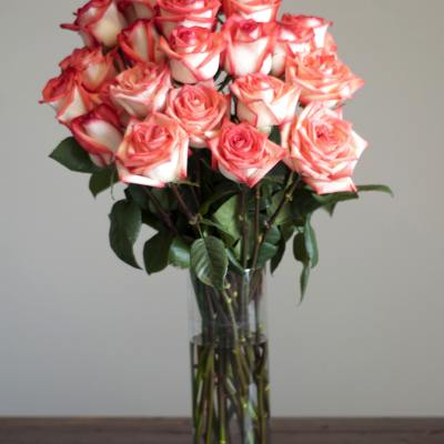 Bouquet of pink-and-white roses in a clear glass vase
