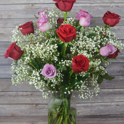 Red and lavender roses in a glass vase with white baby's breath