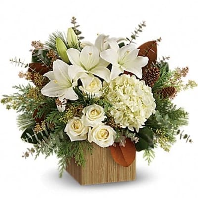 Teleflora's Snowy Woods Bouquet