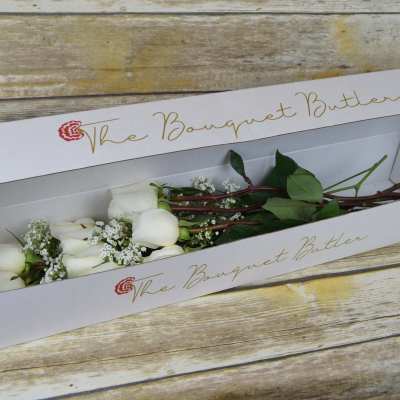 White roses in a long gift box with small white filler flowers