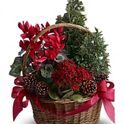Tannenbaum Basket