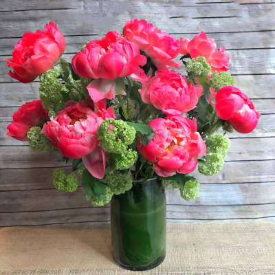 Pink peonies arranged in a green glass vase with green viburnum clusters