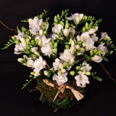 Freesia Bowl