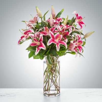 Pink stargazer lilies arranged in a clear glass vase.