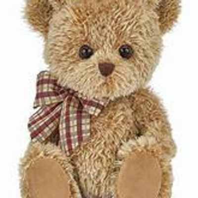 Plush Bear