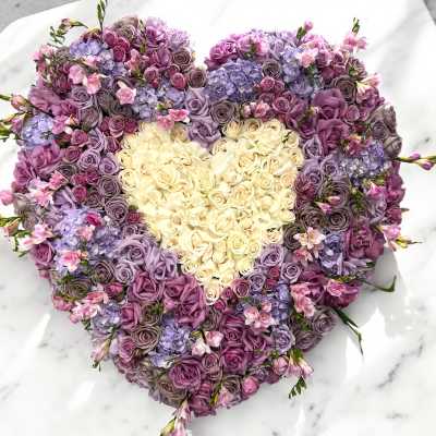 Sympathy Sixty Seven